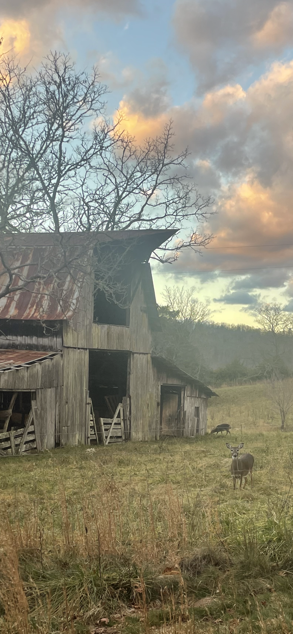 Old Barn PhotoPrint