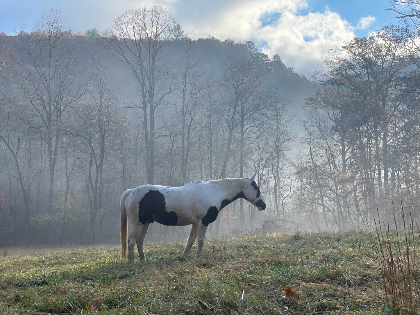 Jigsaw in the Mist PhotoPrint