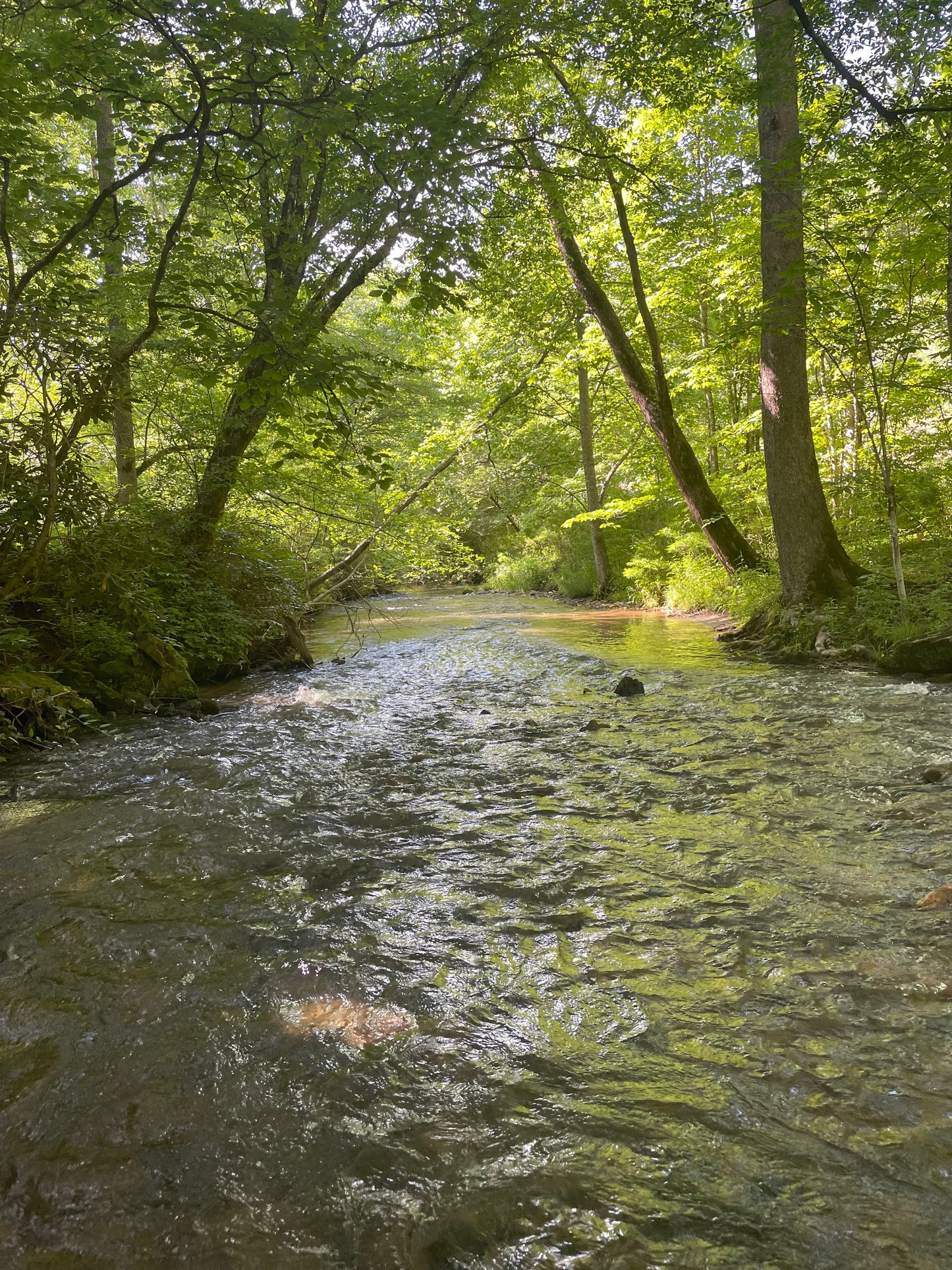 Currents and Coils: A Creekside Meditative Wire Link Jewelry Class April 12th