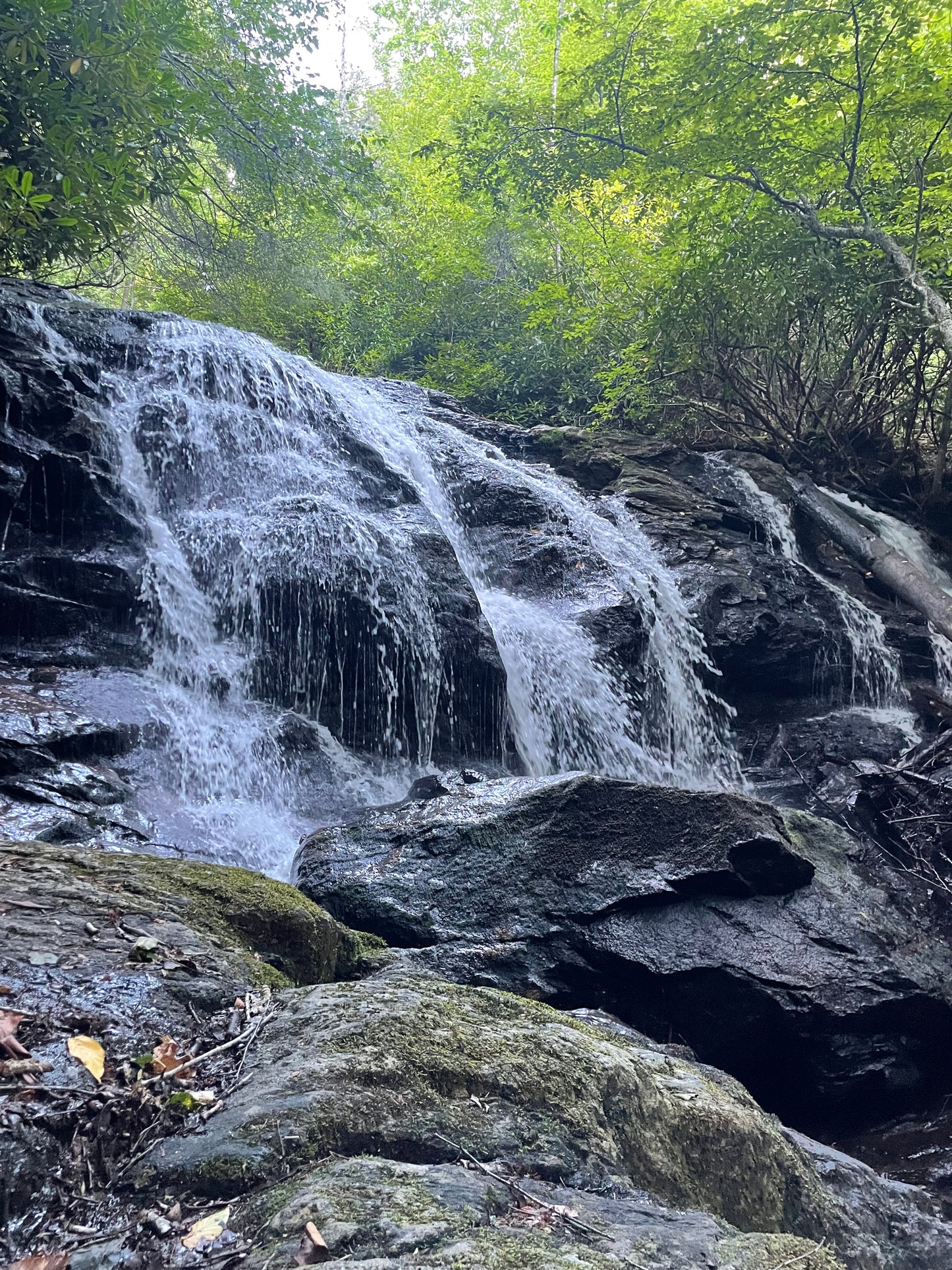 Mooney Falls NC