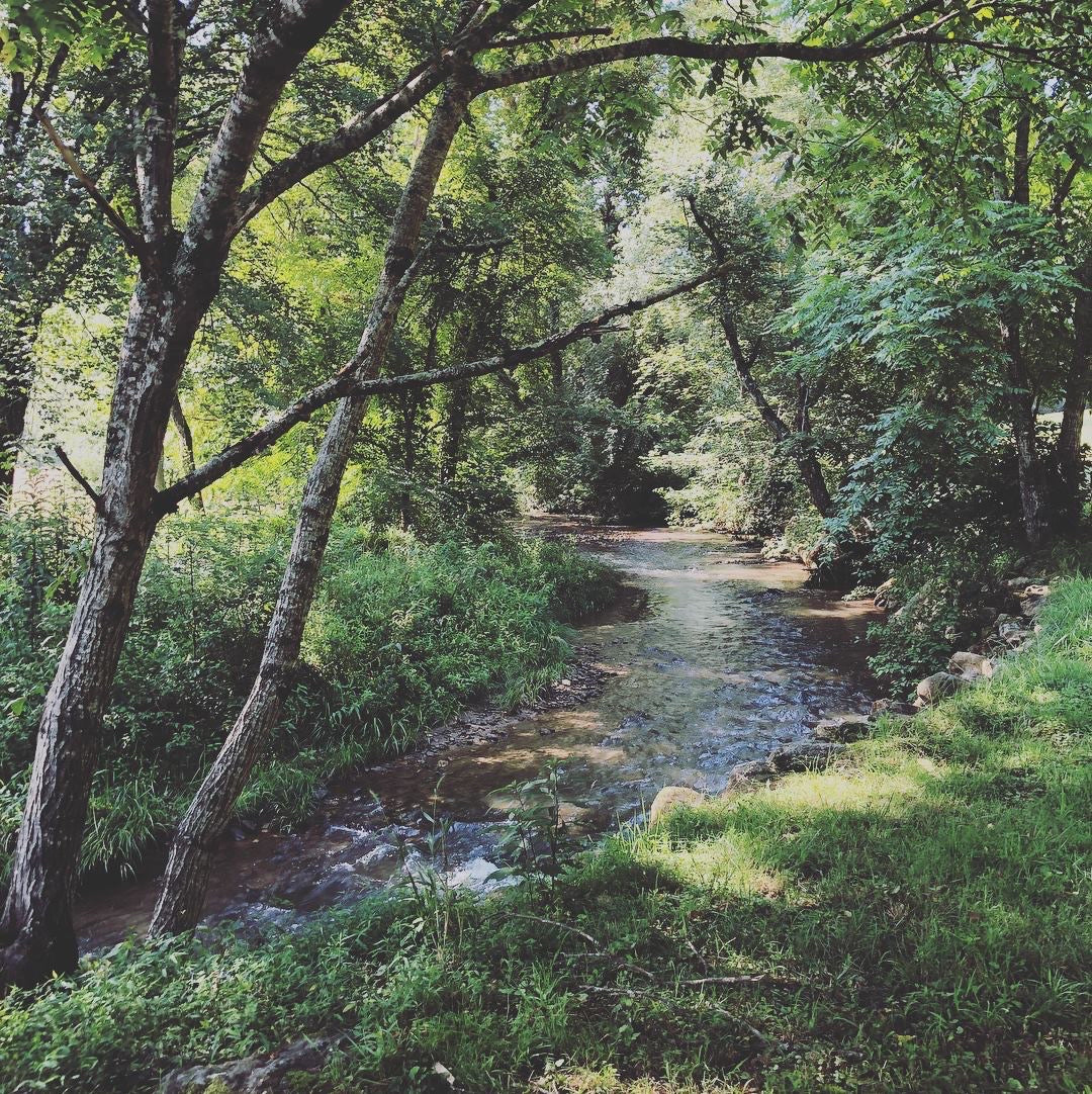 Reiki Session Creekside: 15 minutes