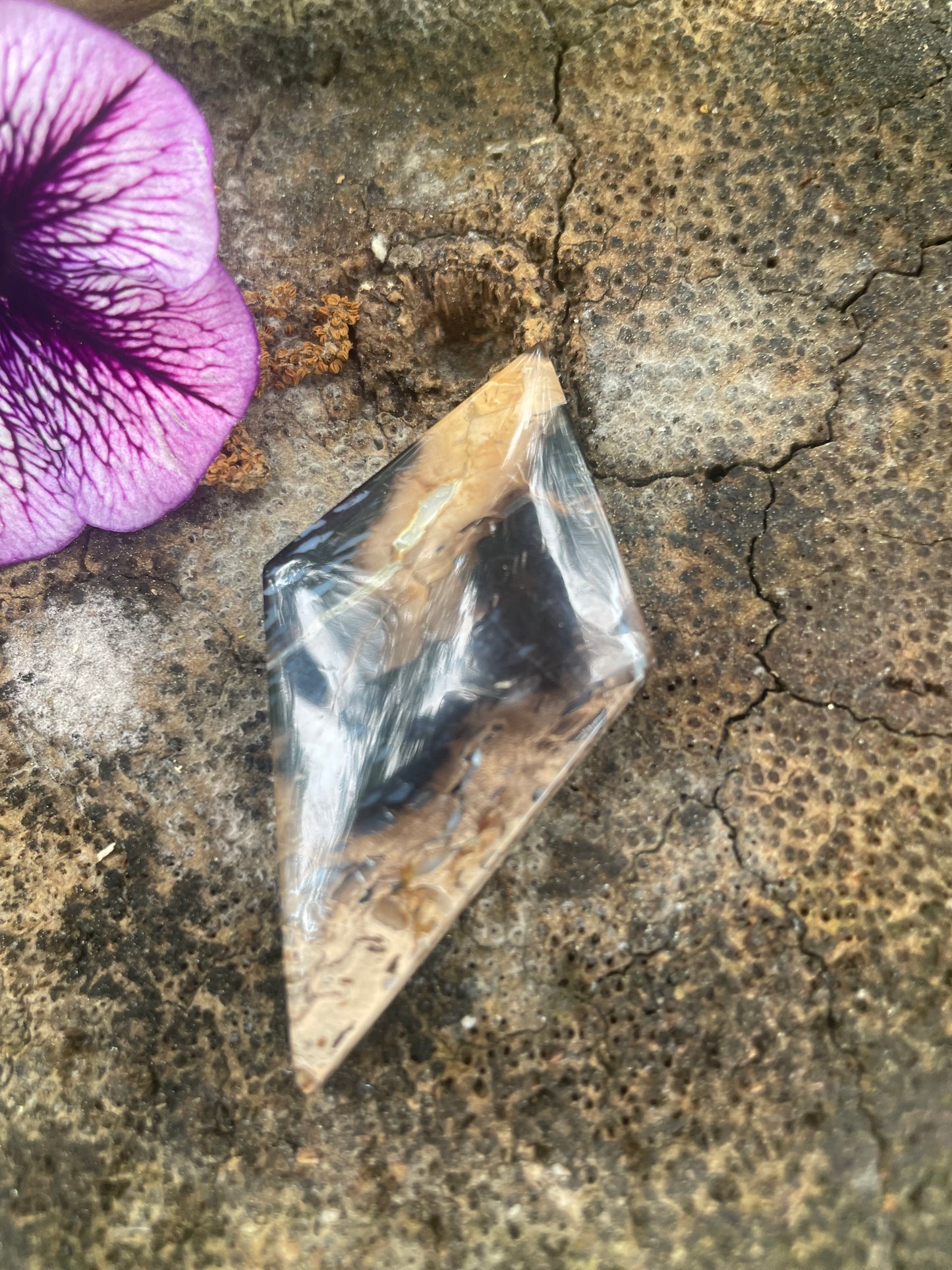 55ct Petrified Colla Wood (Stone)
