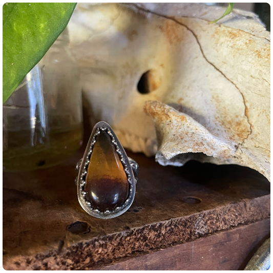 Chiapas Mexican Amber Sterling Ring Size 8