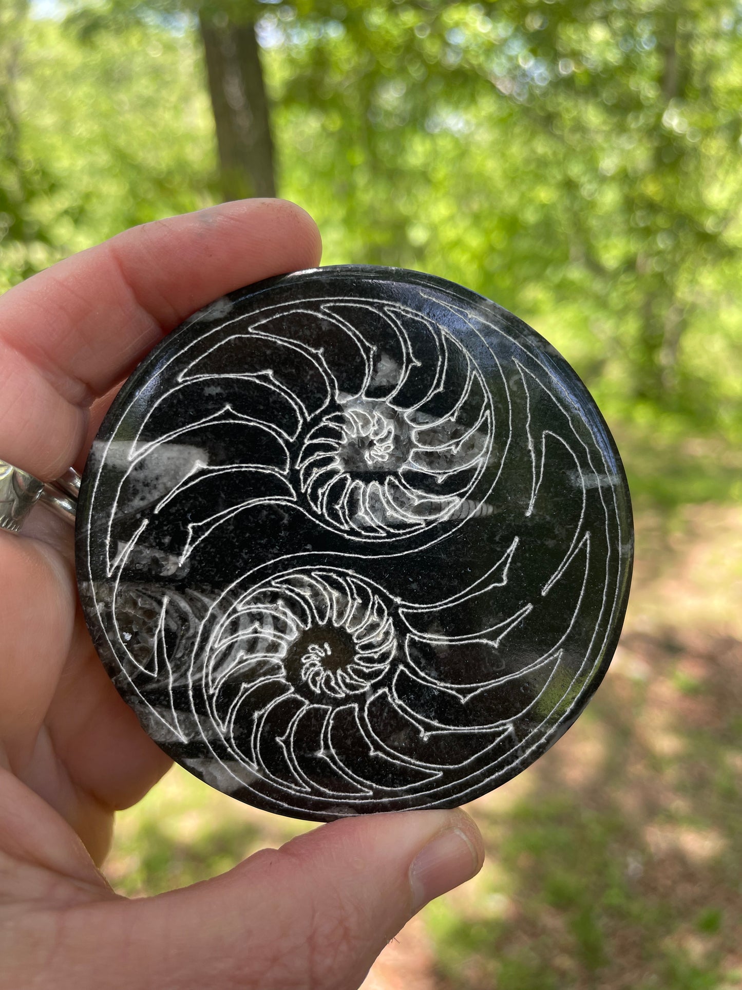 Orthoceras Fossil with Carved Ammonite