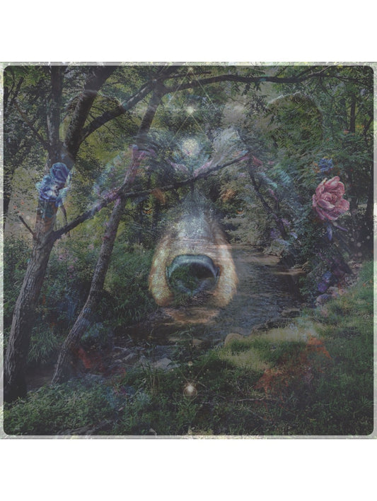 Bear Creek Overlay PhotoPrint