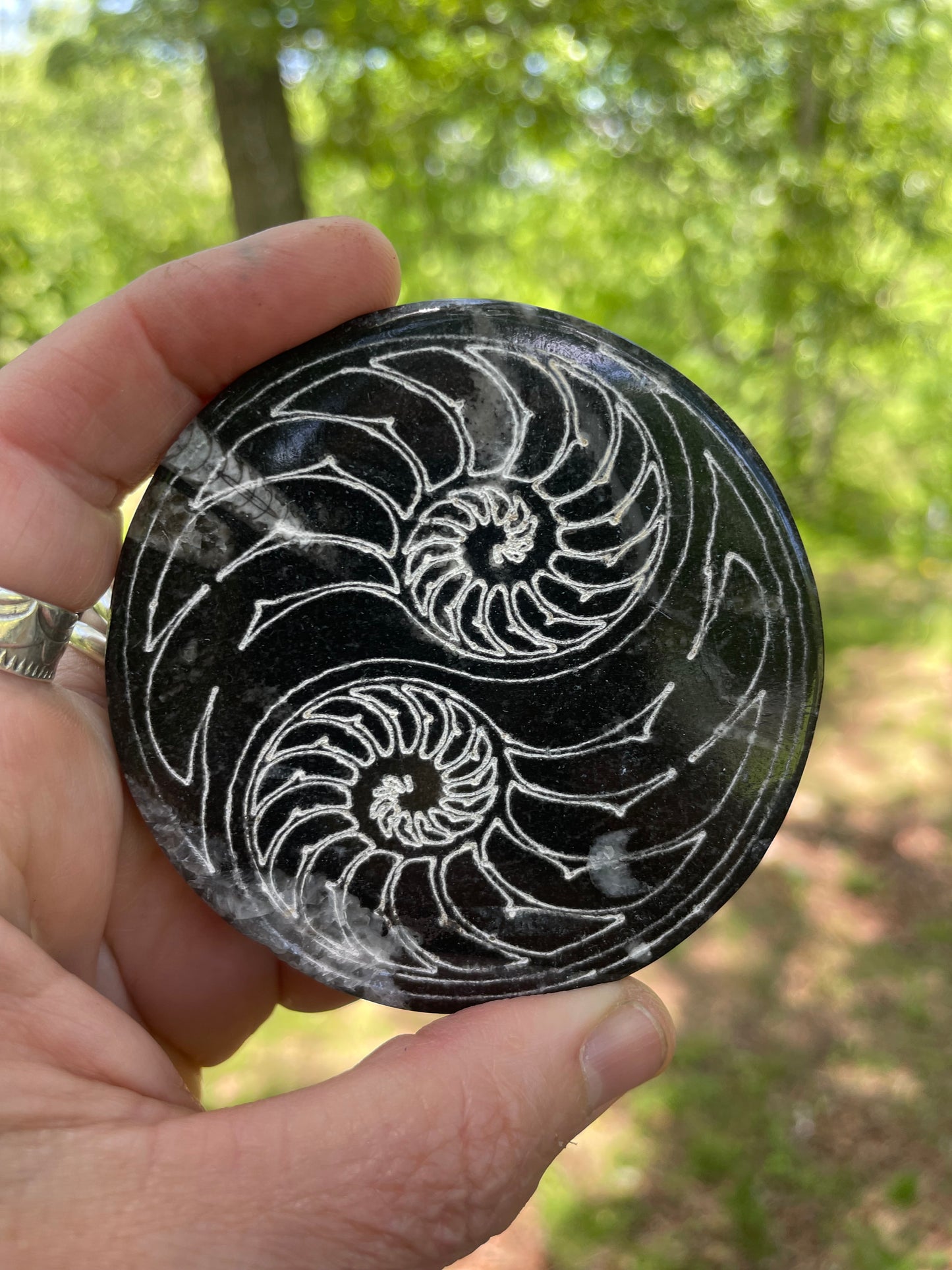 Orthoceras Fossil with Carved Ammonite