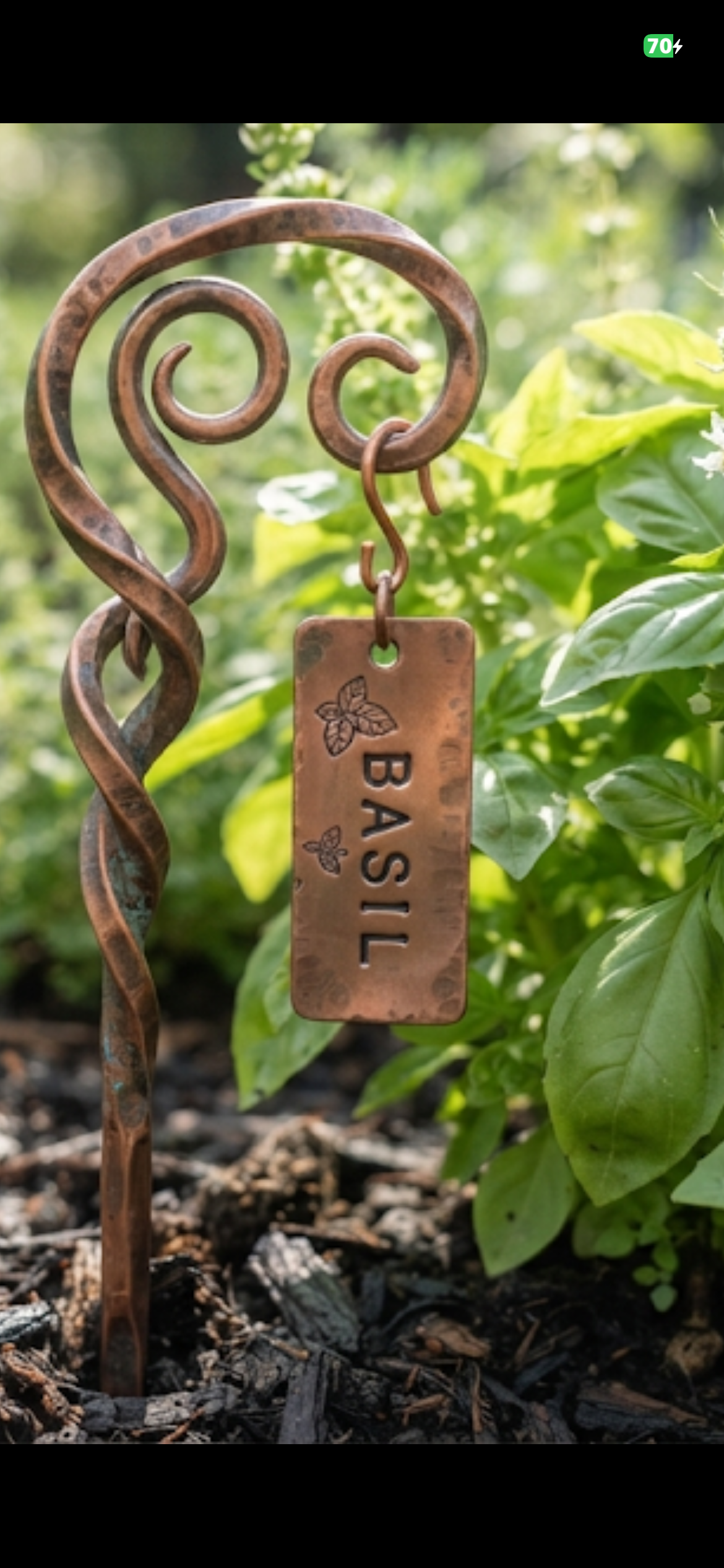 Copper Plant Stake Class Sunday Sept 6 1030-130