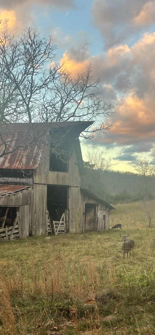Old Barn PhotoPrint