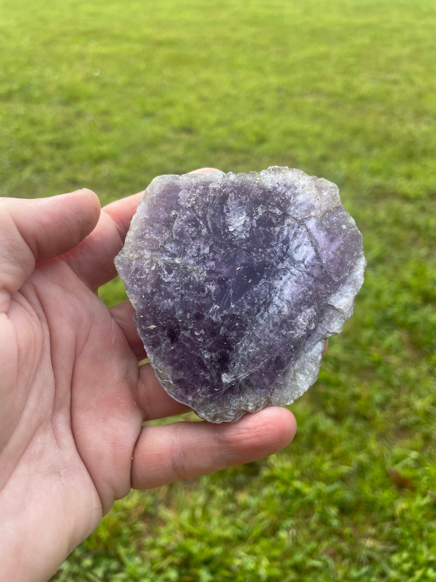Lapidiolite Slabs