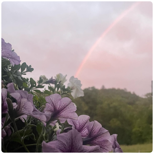 Flowers and Rainbows PhotoPrint