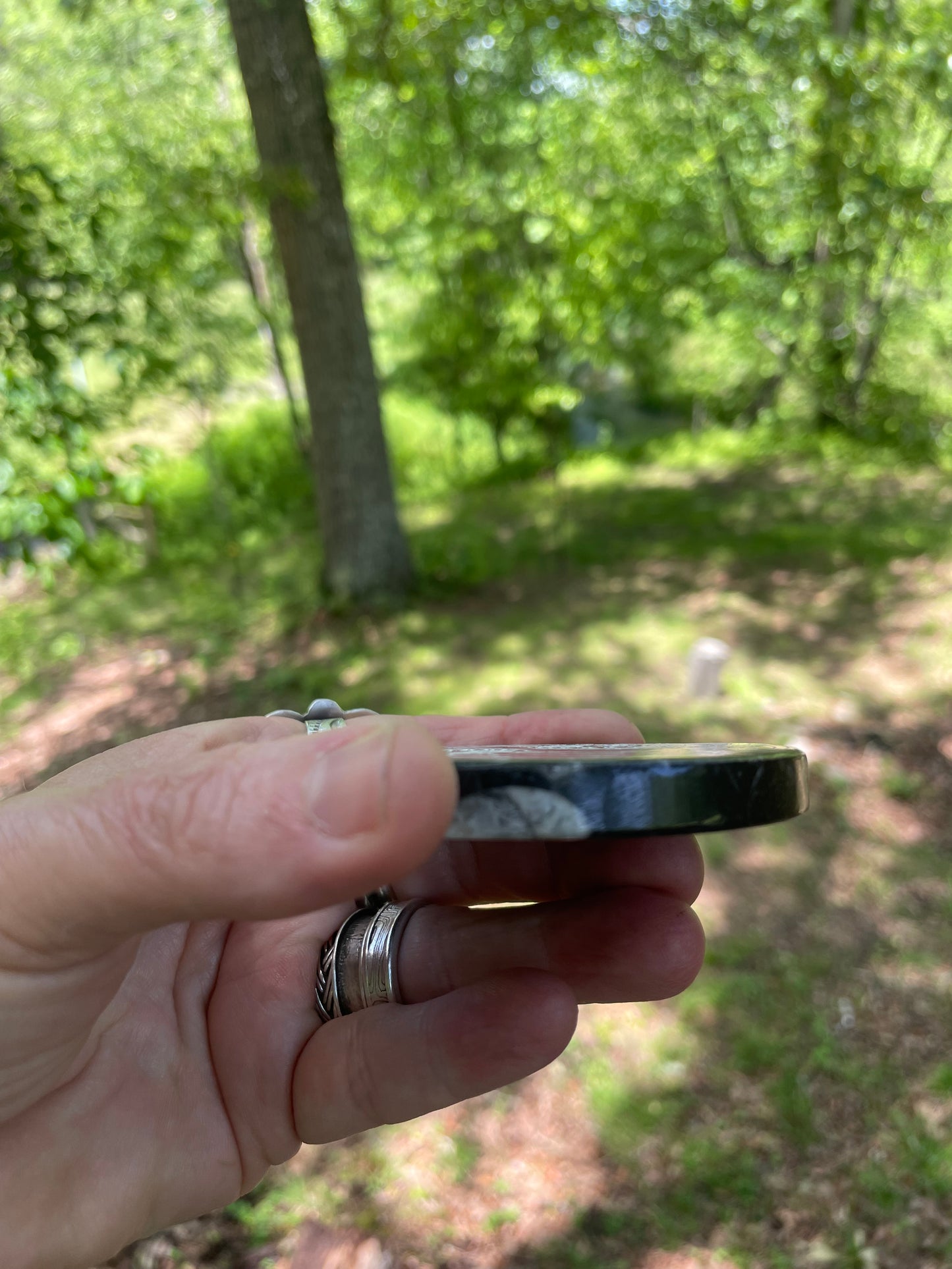 Orthoceras Fossil with Carved Ammonite
