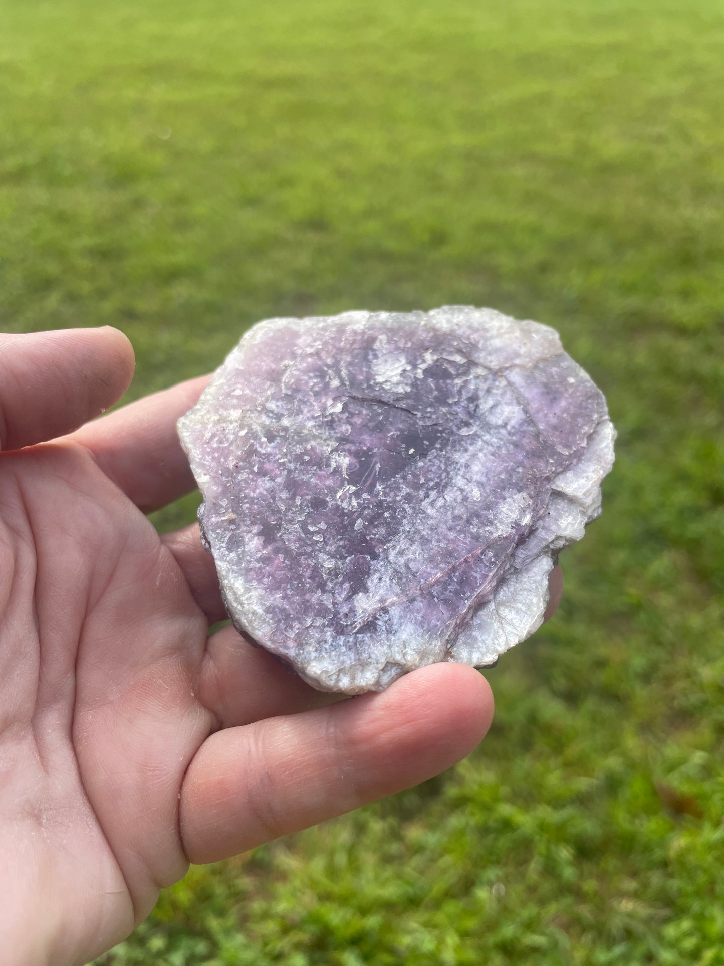 Lapidiolite Slabs