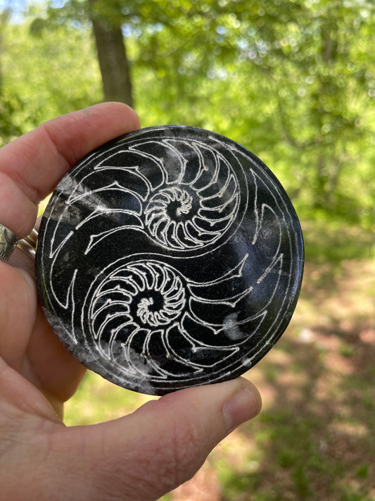 Orthoceras Fossil with Carved Ammonite
