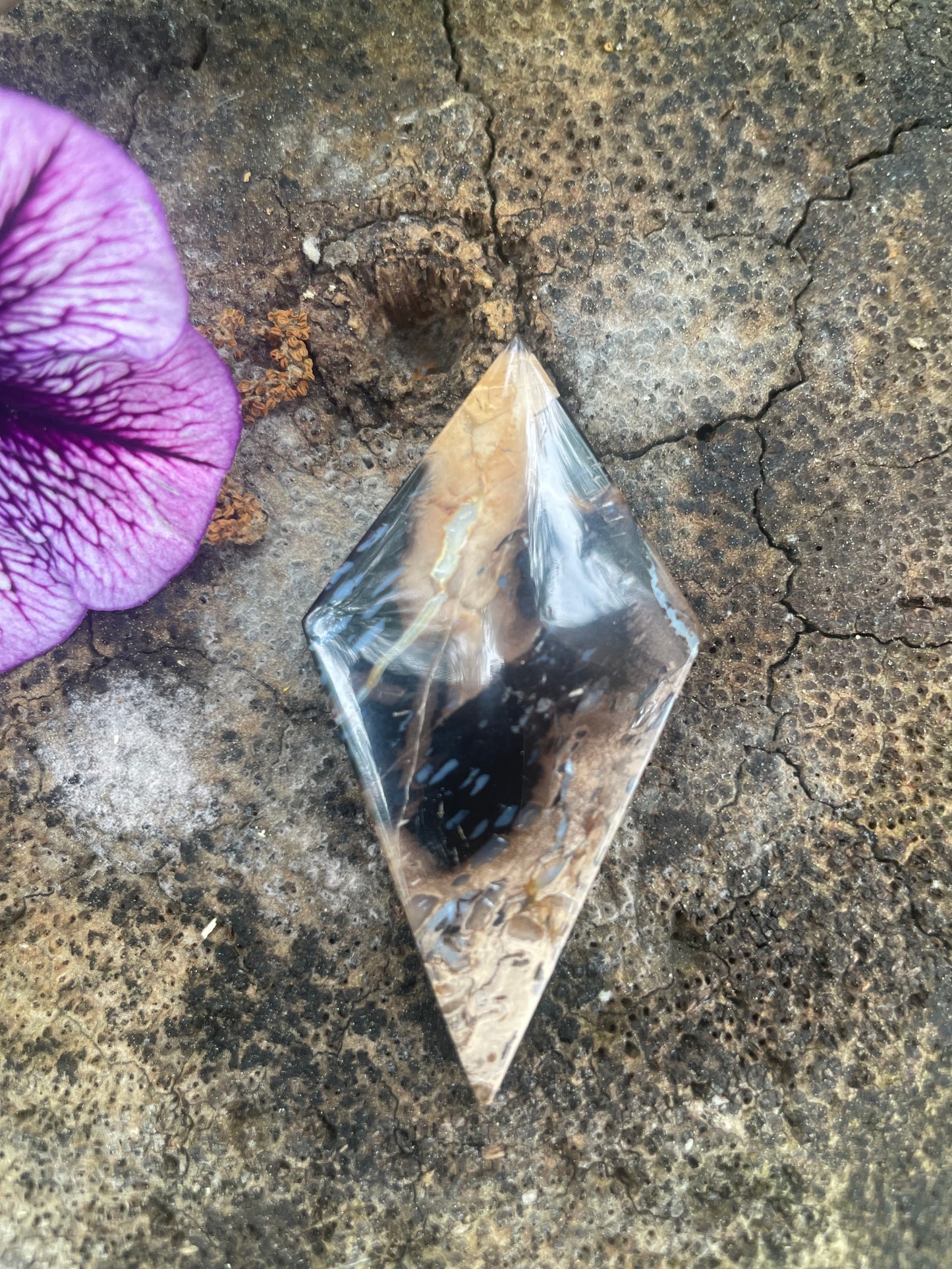 55ct Petrified Colla Wood (Stone)